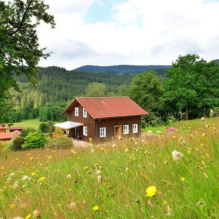 Comfort Apartment With Balcony In The Beautiful Bavarian Forest دراخسيلسريد المظهر الخارجي الصورة