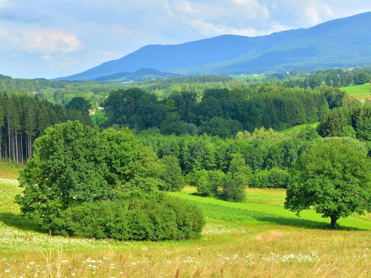 Comfort Apartment With Balcony In The Beautiful Bavarian Forest دراخسيلسريد الغرفة الصورة