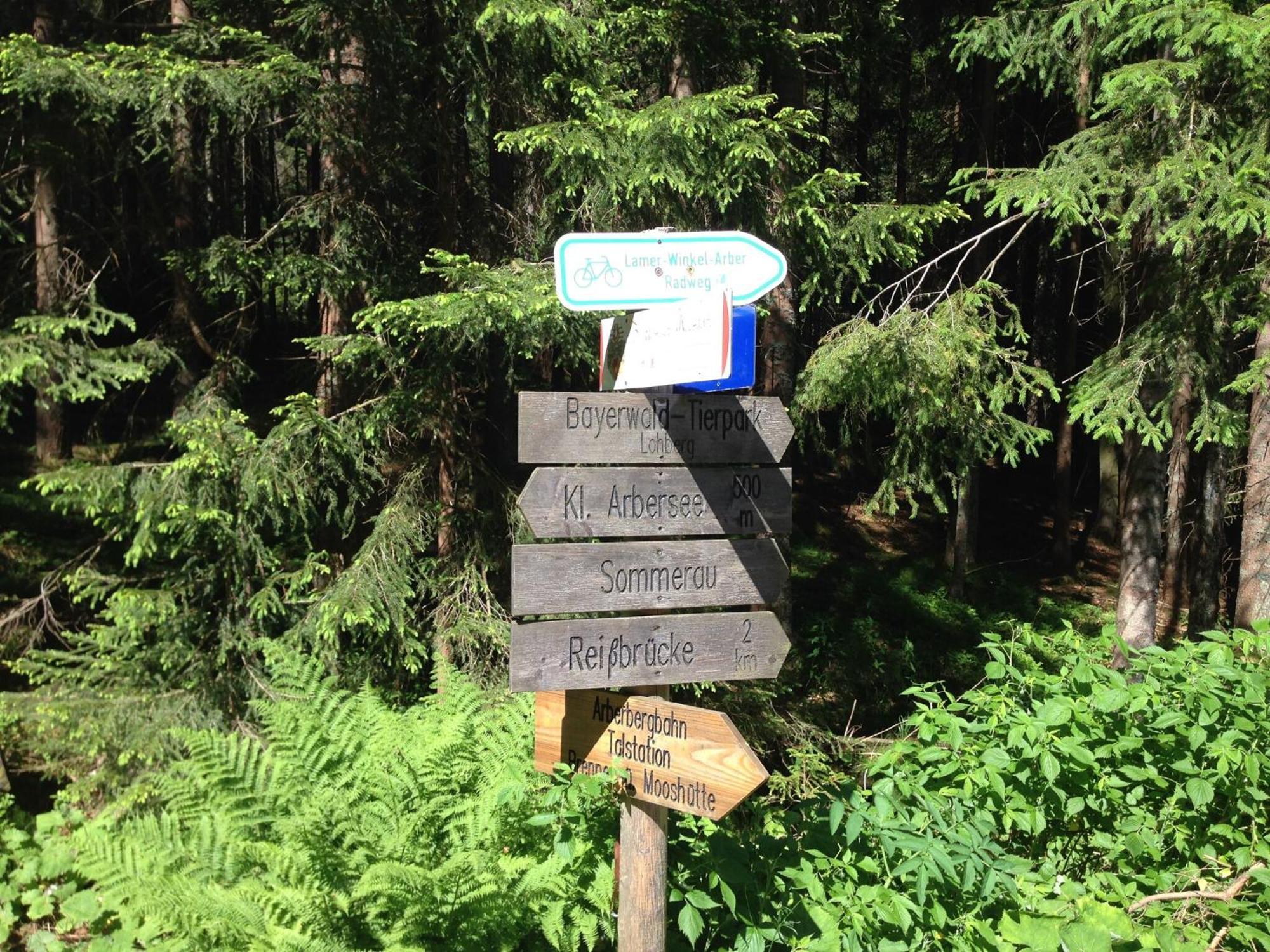 Comfort Apartment With Balcony In The Beautiful Bavarian Forest دراخسيلسريد المظهر الخارجي الصورة