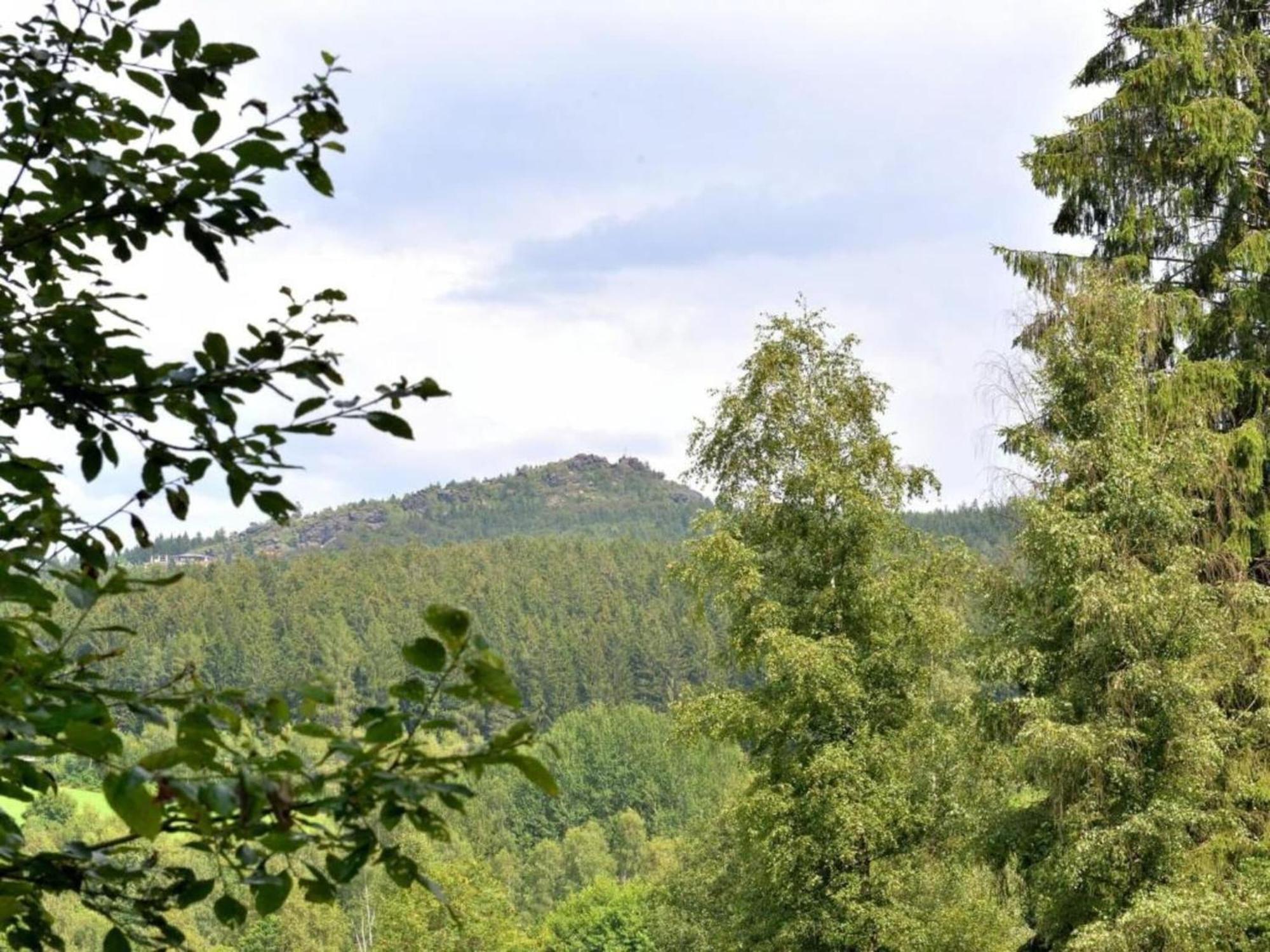 Comfort Apartment With Balcony In The Beautiful Bavarian Forest دراخسيلسريد المظهر الخارجي الصورة