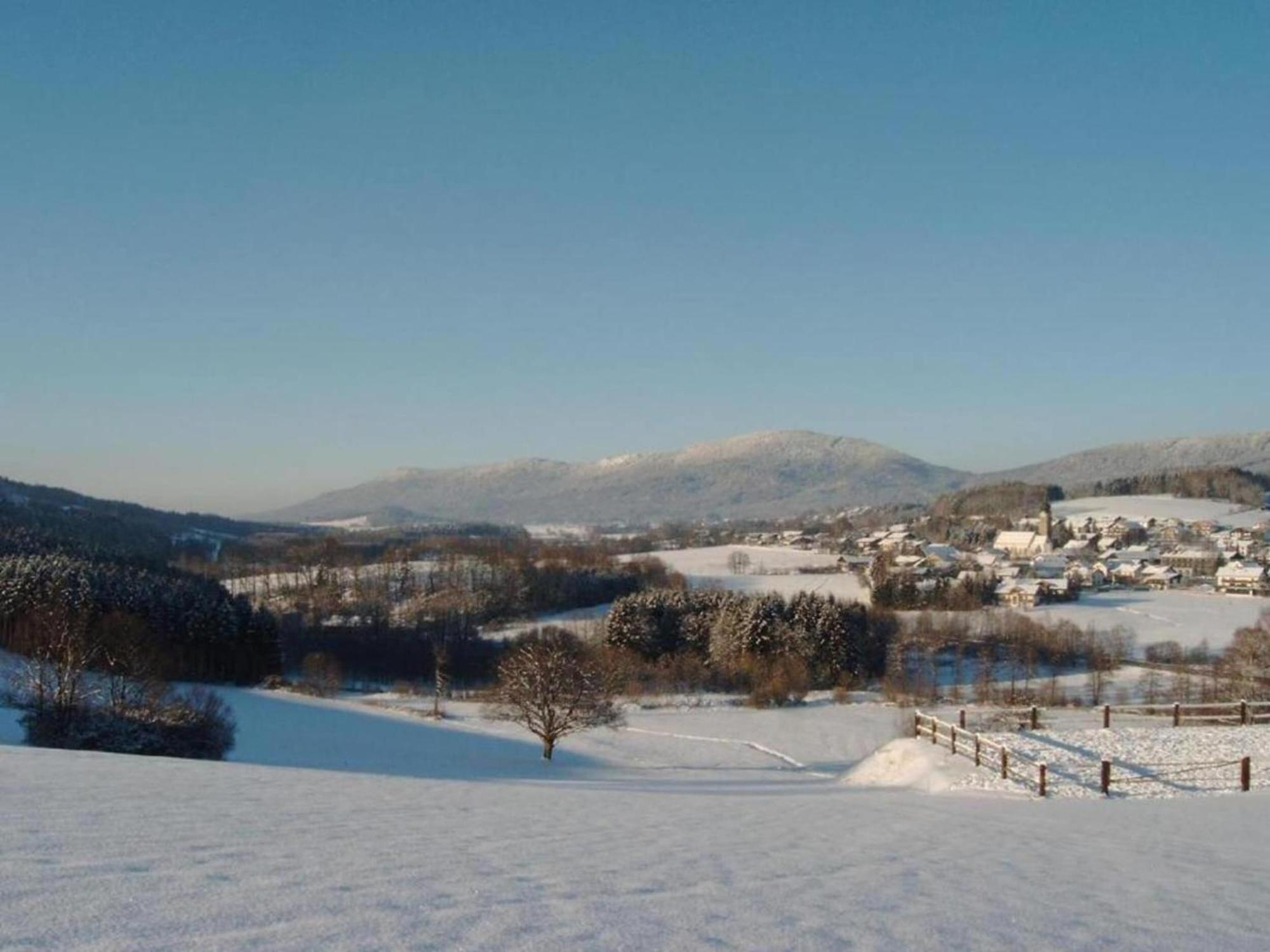 Comfort Apartment With Balcony In The Beautiful Bavarian Forest دراخسيلسريد المظهر الخارجي الصورة