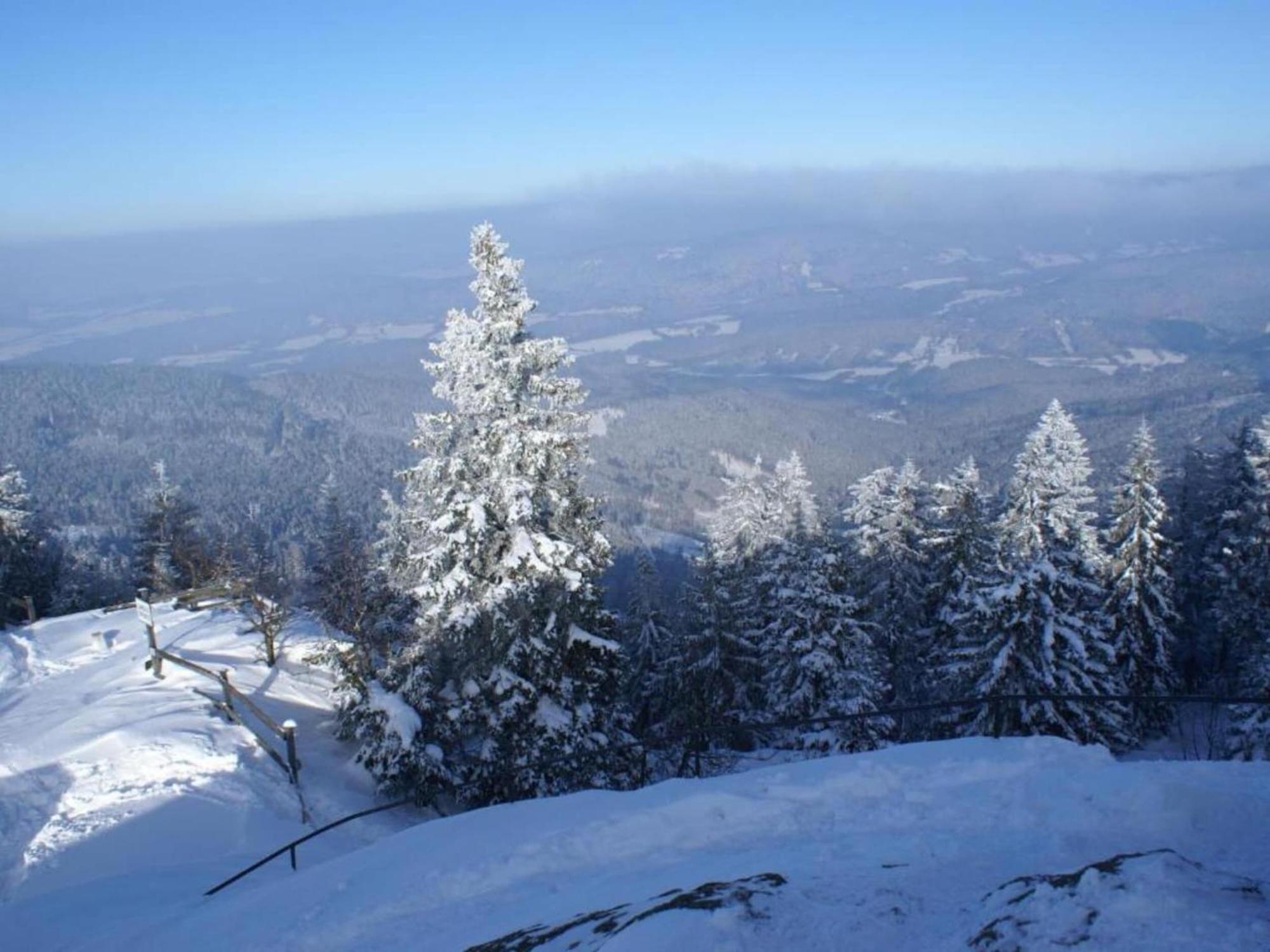 Comfort Apartment With Balcony In The Beautiful Bavarian Forest دراخسيلسريد المظهر الخارجي الصورة