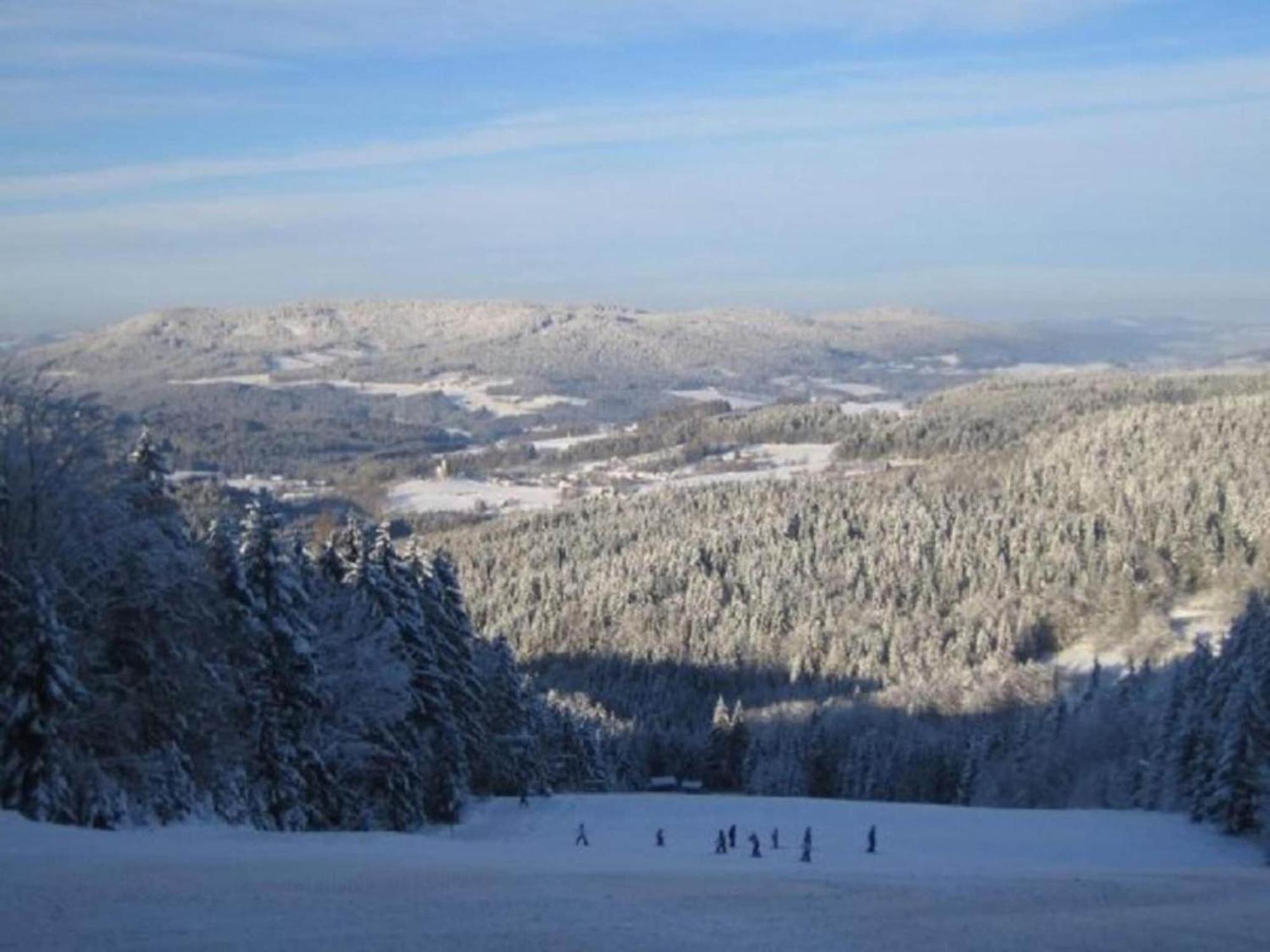Comfort Apartment With Balcony In The Beautiful Bavarian Forest دراخسيلسريد المظهر الخارجي الصورة