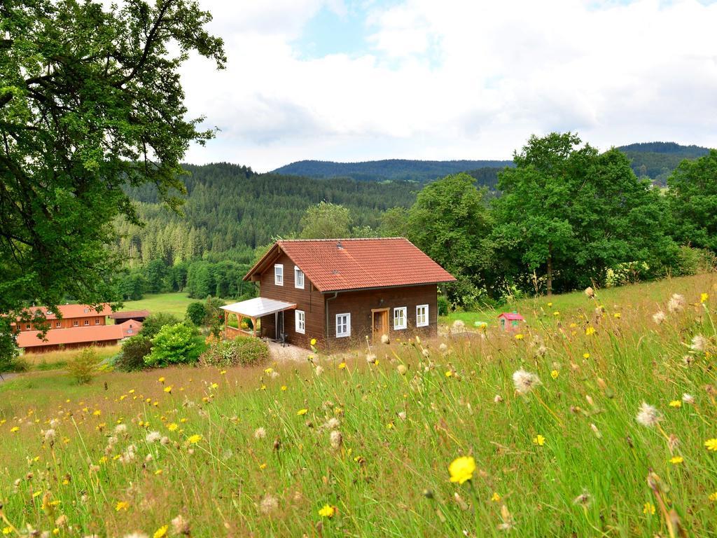Comfort Apartment With Balcony In The Beautiful Bavarian Forest دراخسيلسريد المظهر الخارجي الصورة