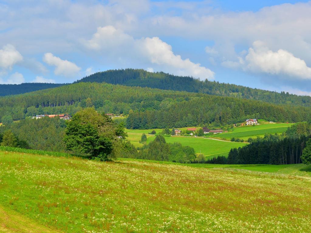 Comfort Apartment With Balcony In The Beautiful Bavarian Forest دراخسيلسريد المظهر الخارجي الصورة